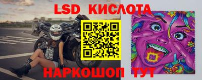 прущие грибы Кунгур