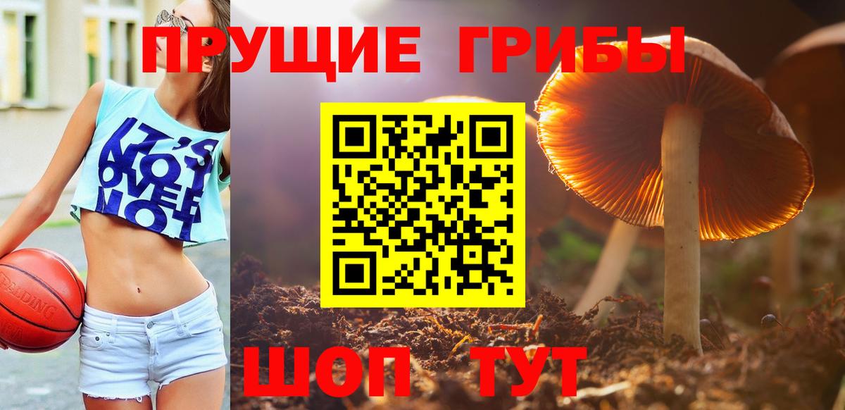 Галлюциногенные грибы прущие грибы Киселёвск