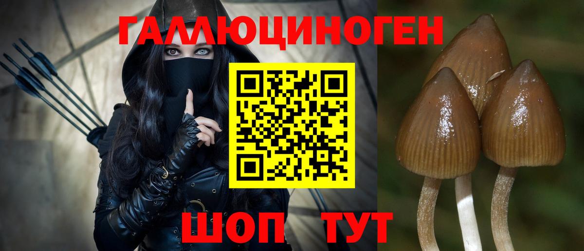 Псилоцибиновые грибы прущие грибы  Вход с VPN  Киселёвск 